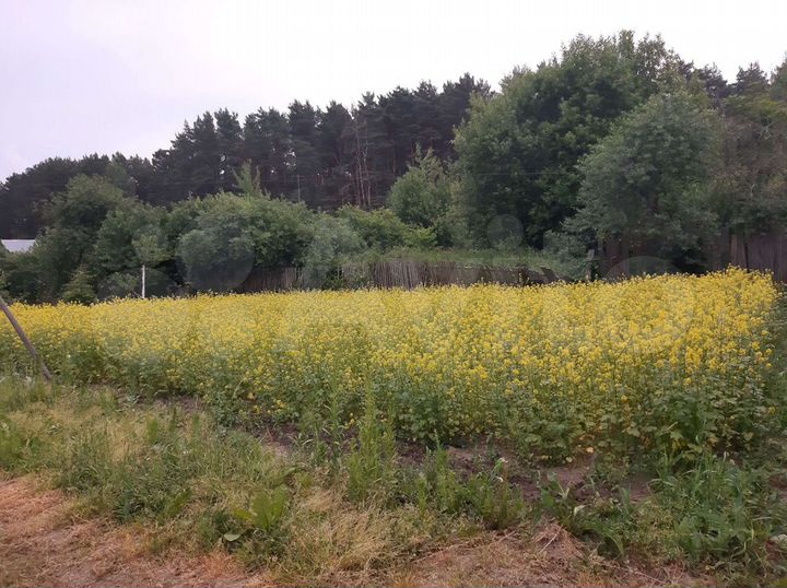 Участок 16 сот. (ИЖС)