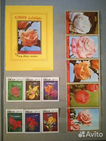 Албом с марками. Флора. Фото страниц альбома