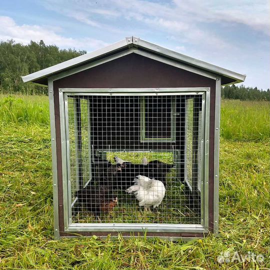 Курятник с гнездом перекати поле