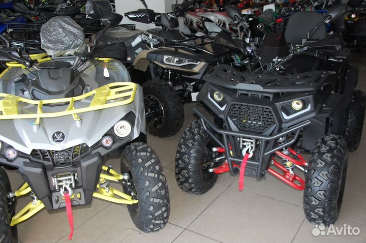 ATV Avantis Classic 200 Premium
