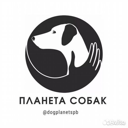 Выгул собак / передержка / ситтинг