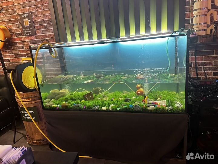Аквариум