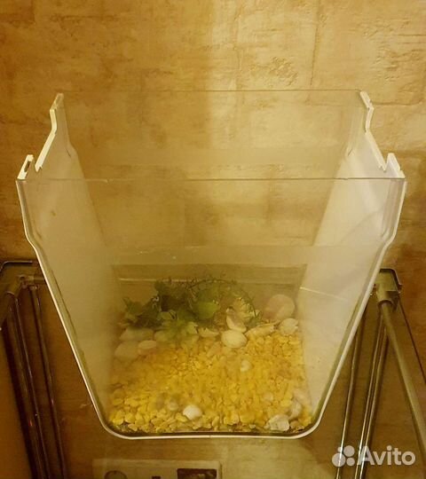 Акваферма AguaFarm