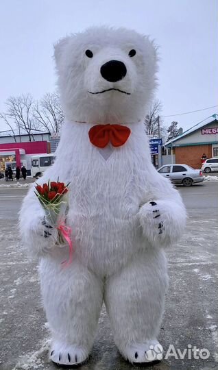 Белый Мишка
