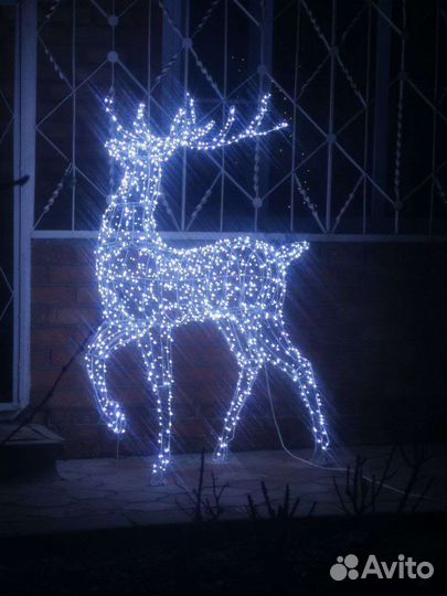 Гордый олень