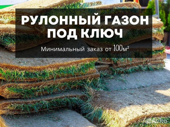 Продажа рулонного газона под ключ