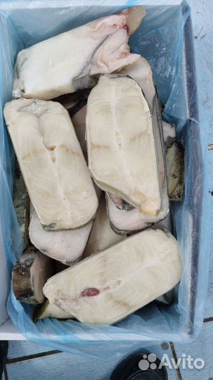 10 Рыба и Морепродукты. Доставка. Розница