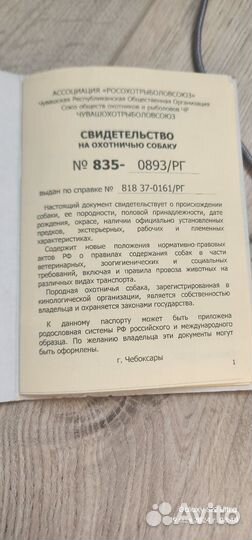 Выжлец русская гончая