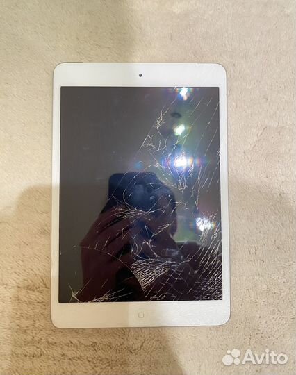 iPad mini 2 retina