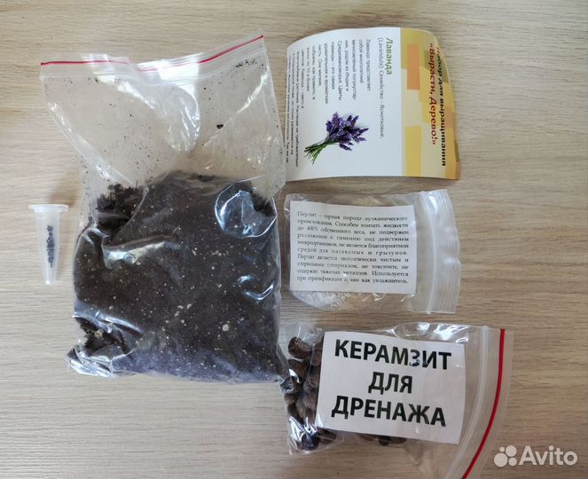 Лаванда Набор для выращивания растений