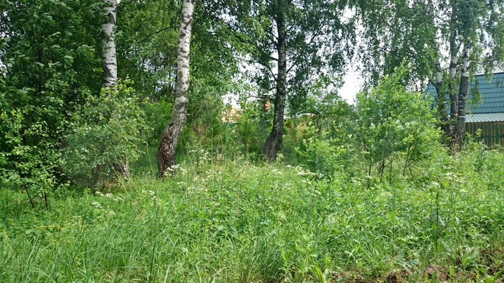 Участок 15 сот. (ИЖС)