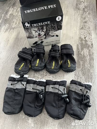 Обувь для собак