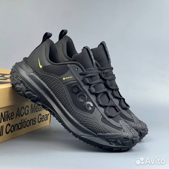 Nike ACG Mountain FLY 2 Low Gore-Tex