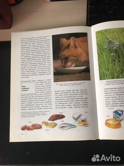 Книги про кошек
