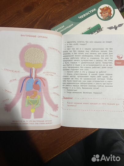 Кнрги про Чевостика