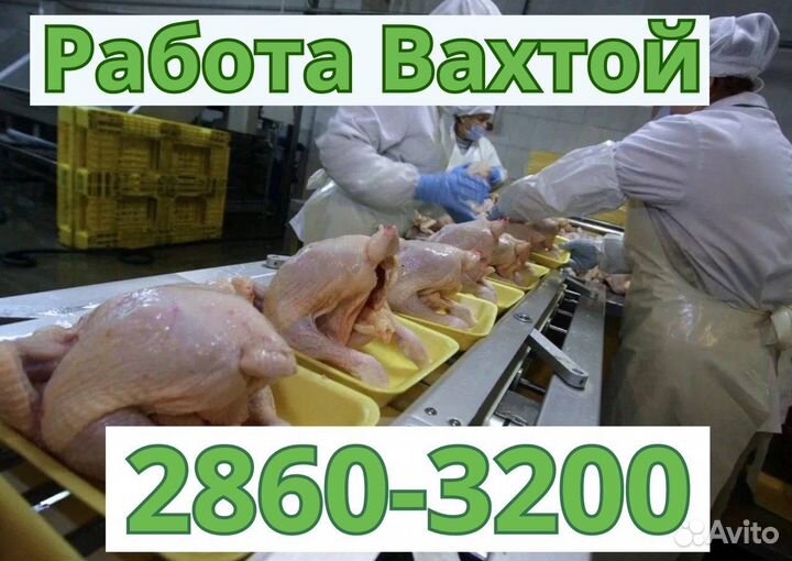 Работа вахтой упаковщик со всеми условиями