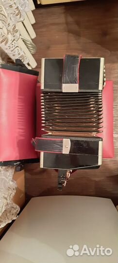 Баян тульский