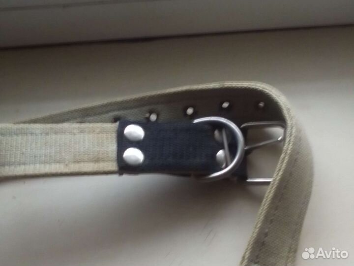 Ошейник для собак