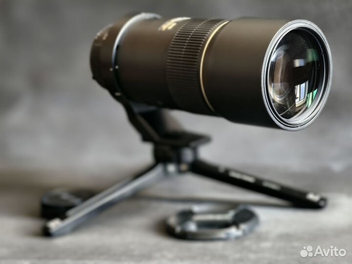 Nikon AF-S Nikkor 300 mm f/ 4 D IF-ED