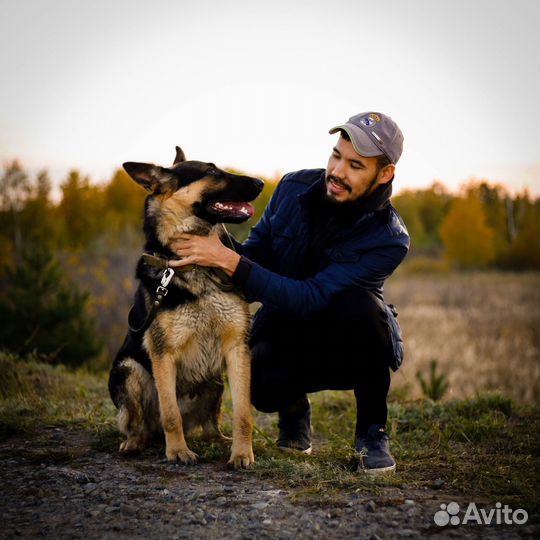 Репетитор по математике ЕГЭ профиль (10-11 кл)