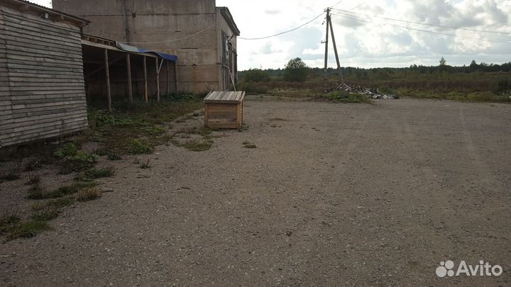Ищу инвесторов