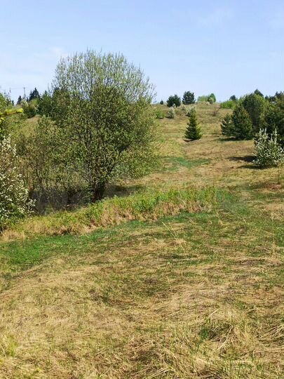 Участок 13,02 га (ИЖС)