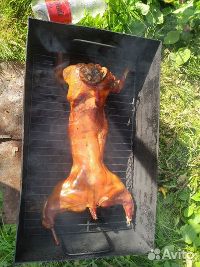 Мясо кролика