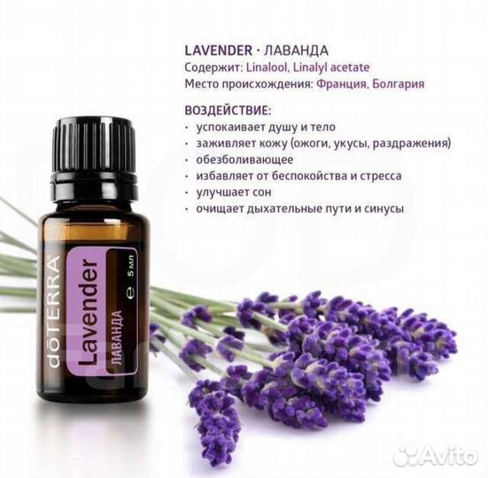 Эфирное масло дотерра Лаванда