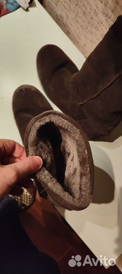 Сапоги унисекс замшевые
