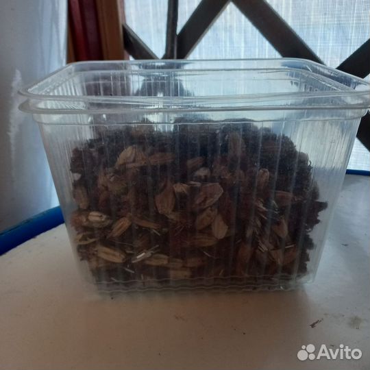 Бархатцы семена