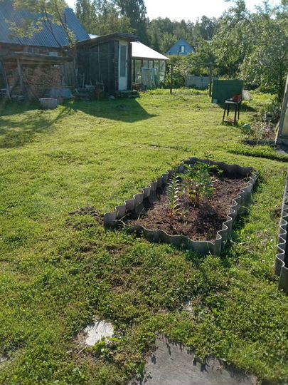 Дача 60 м² на участке 6 сот.