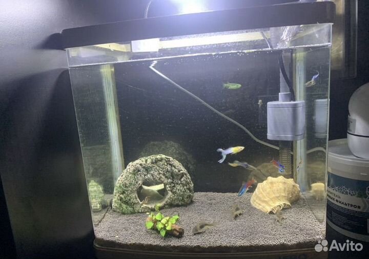 Аквариум