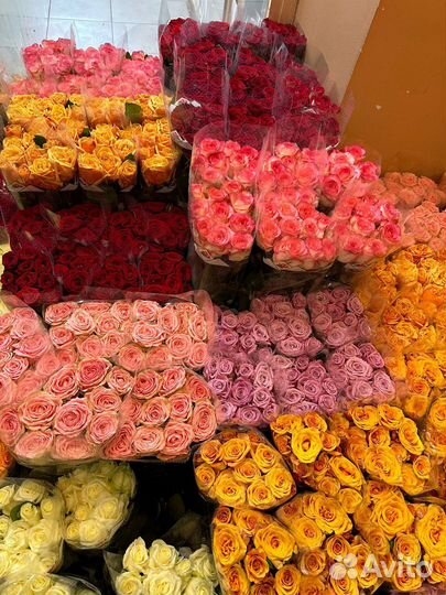 Букет из 51 розы 60см с офомлением