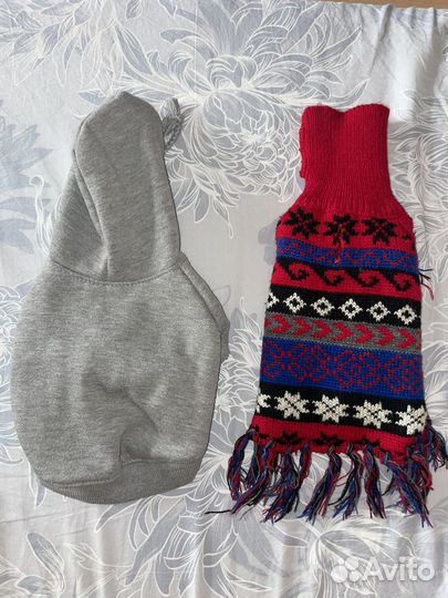 Вещи на собачку до 2 кг