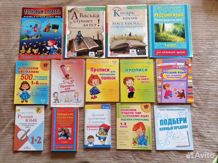 Учебные пособия по русскому языку и литературе