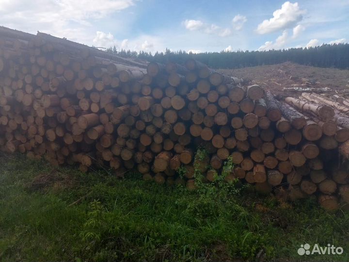 Лес на поддоны