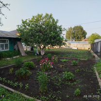 Дом 74 м² на участке 7 сот.