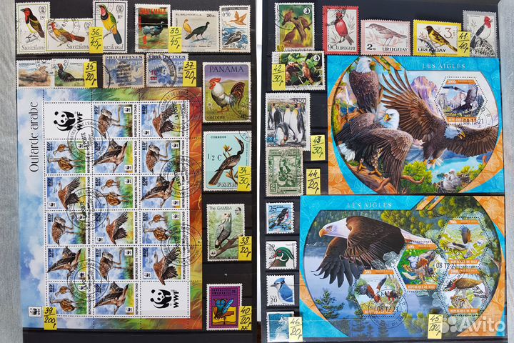 Марки. Птицы. Набор №3