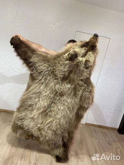 Имитация шкуры медведя