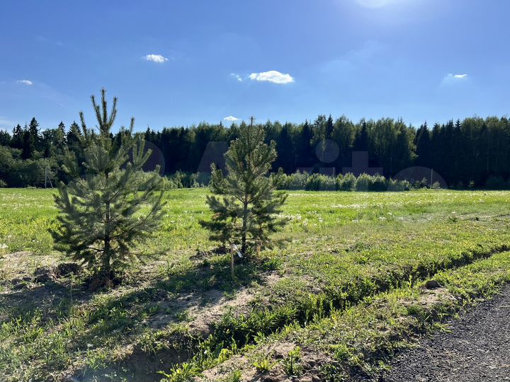 Участок 8 сот. (ИЖС)