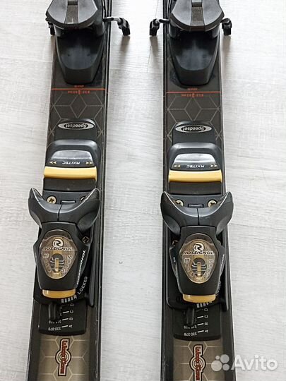 Горные лыжи