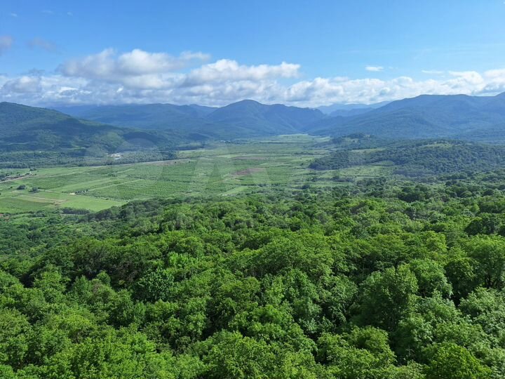 Участок 7,7 сот. (ИЖС)