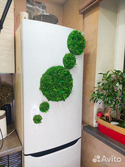 Холодильник дизайнерский