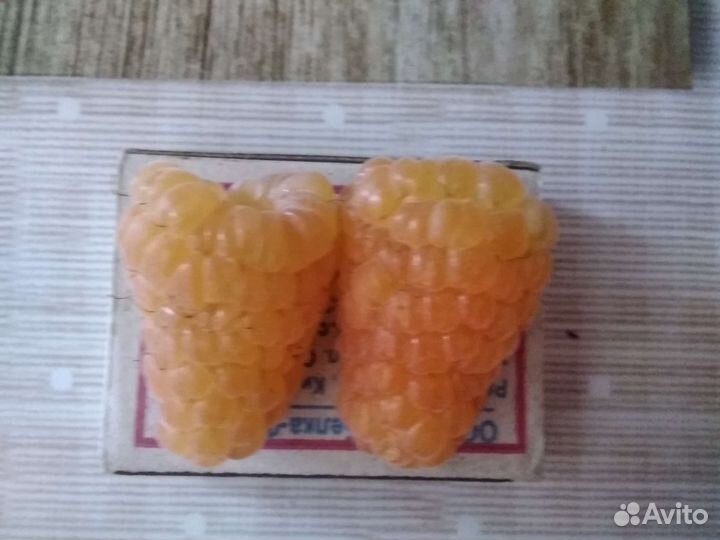 Саженцы малины Оранжевое чудо и Таруса