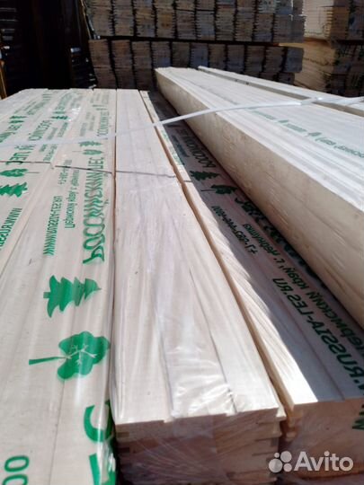 Вагонка липа