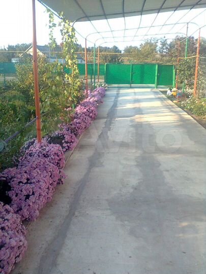 Дом 120 м² на участке 100 сот.