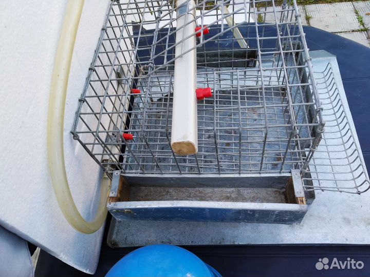 Клетка для содержания перепелов
