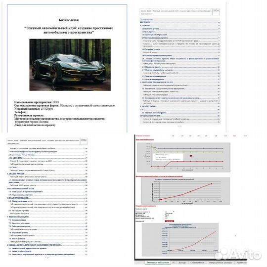Разработка бизнес-планов, тэо, инвестиции