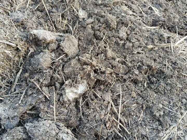 Навоз куриный в мешках