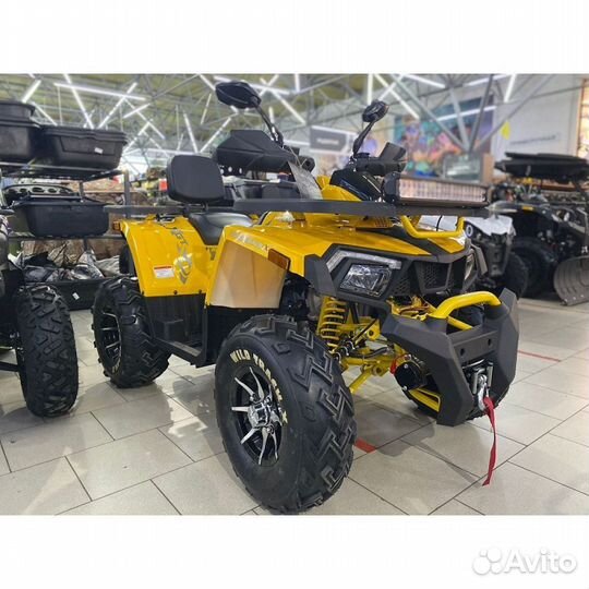 Квадроцикл Motoland Wild Track X 200 PRO + лебедка